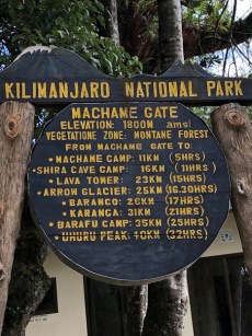 39E11F84-6388-4352-85C2-036EC25DAEDC