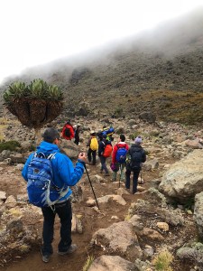 20d6ef7d-36d2-41f2-afba-f5cdca36cc29