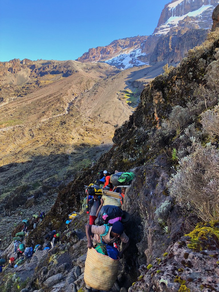 283e9c51-3b1f-48ff-8b31-c55d1ca5b6b9