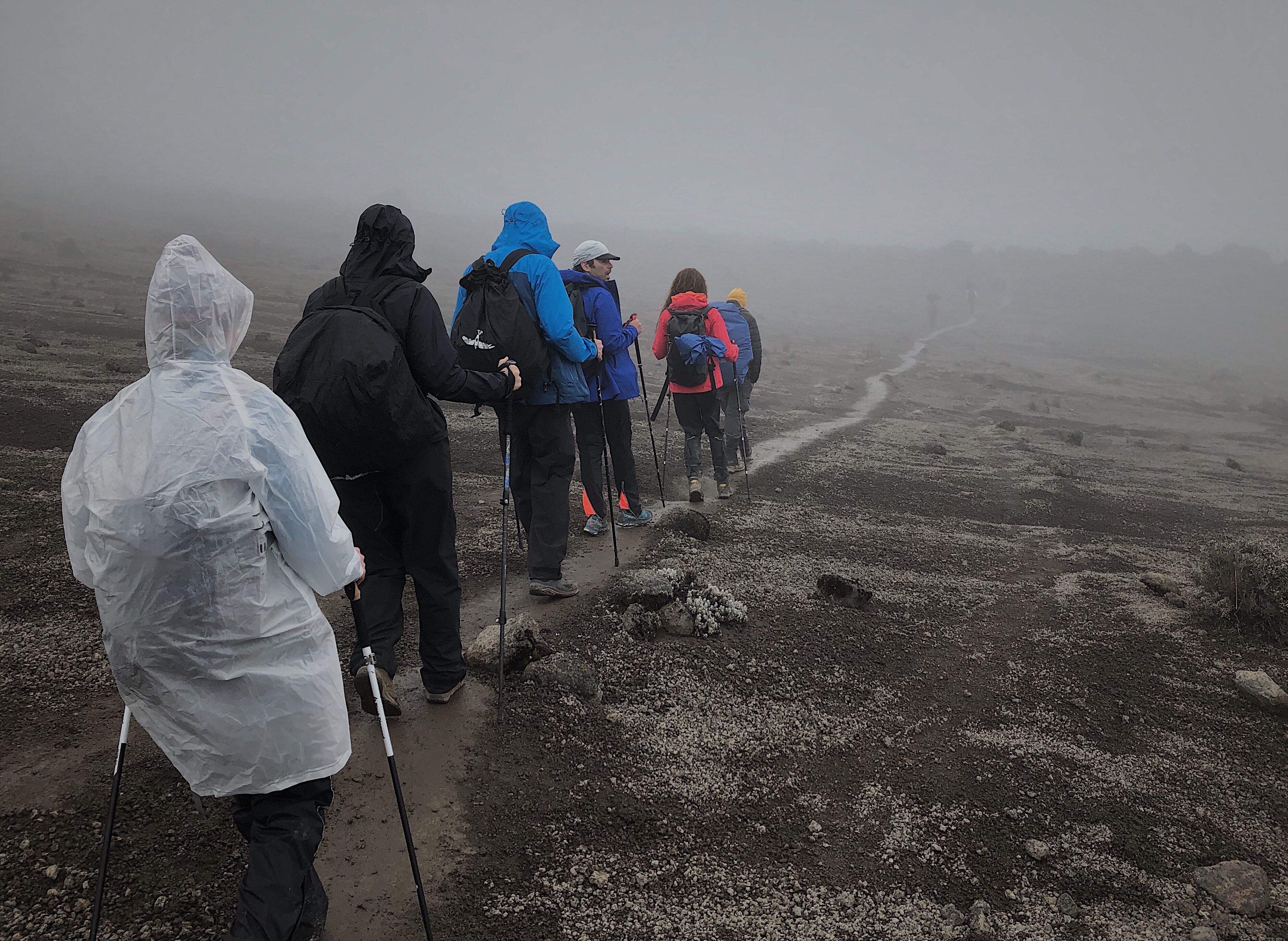 a75931cf-e6b0-4389-ac56-dcea9a5e7e33